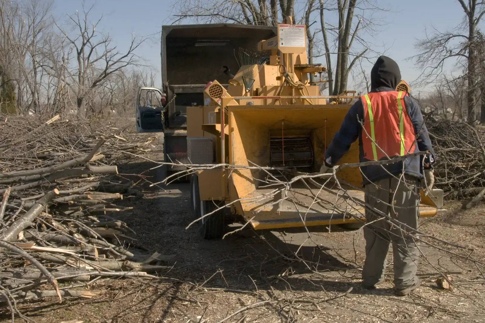 Yard Waste and Brush Removal in Western Mass